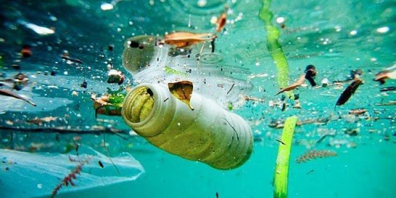 Contaminación de los océanos/Fundación Terram