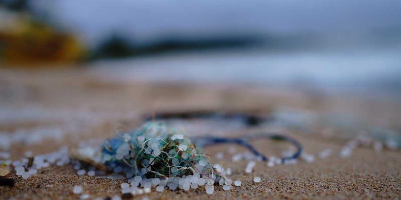 La lucha contra los microplásticos Microplásticos en playas