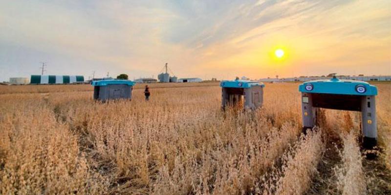 Campo agrícola donde se ven los robots de Mineral 