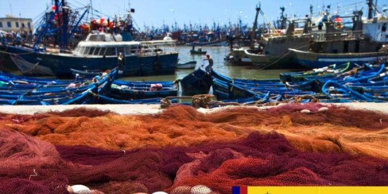 Economía Azul | Foto del Ministerio de Agricultura, Pesca y Alimentación Barcos de pesca en un puerto