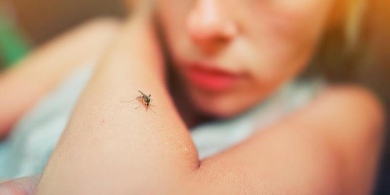 Estos olores pueden atraer más a los mosquitos