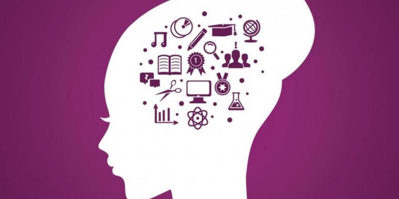 Solo el 13 % de estudiantes de carreras TIC en España, Brasil o Chile son mujeres Solo el 13 % de estudiantes de carreras STEM en España son mujeres, según un estudio de la OEI