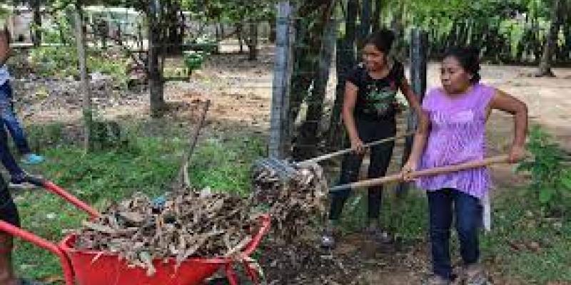 Imagen de un huerto comunitario en Venezuela/Es de Latino News Huertos comunitarios en Venezuela, donde las mujeres se sienten seguras