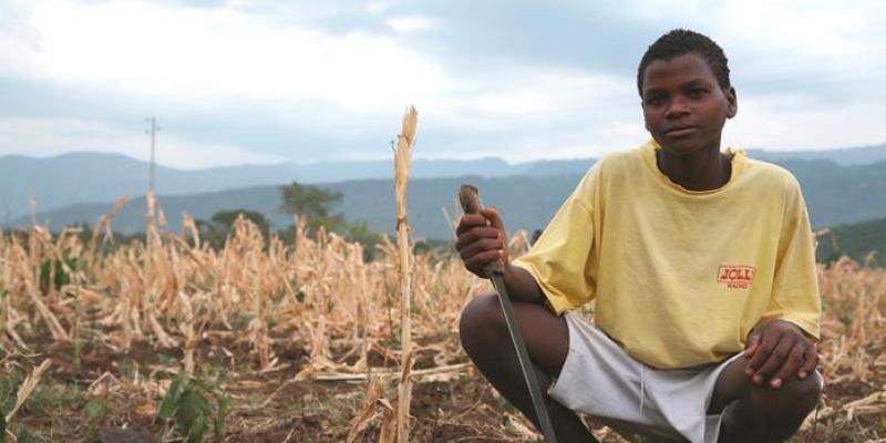 Niño en un campo agrícola seco