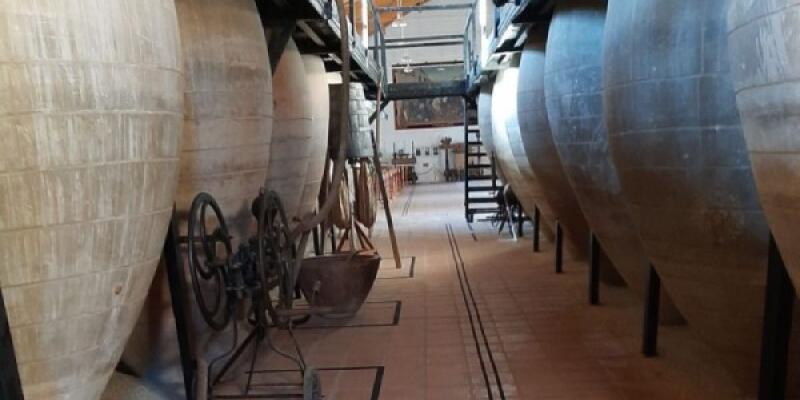 Interior del Museo del Vino de Valdepeñas