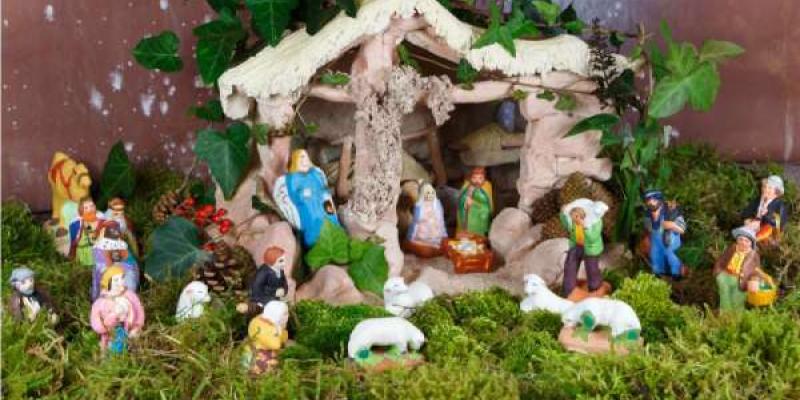 El musgo natural en los belenes navideños queda muy bien, pero daña ecosistemas