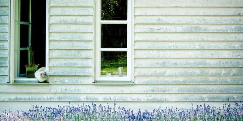 Podemos observar la naturaleza desde casa