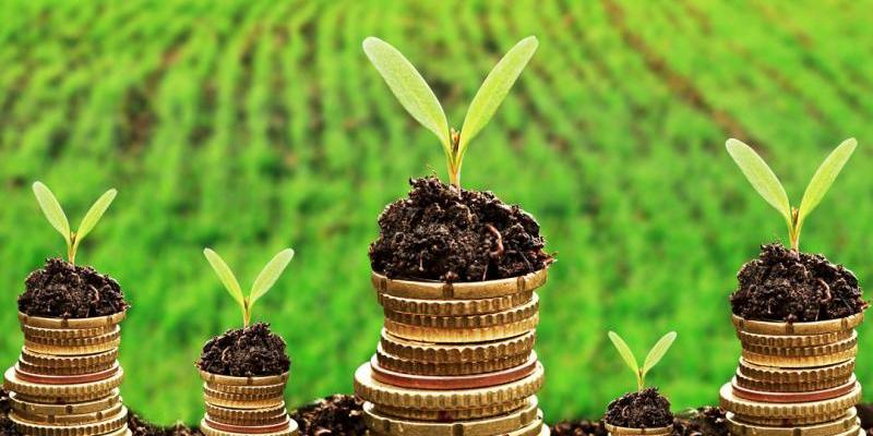 España, noveno país del mundo que más PIB perdería por destruir la naturaleza. España, noveno país del mundo que más PIB perdería por destruir la naturaleza.
