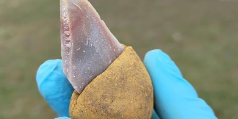 Herramienta de piedra pegada a un mango hecho de betún líquido con un 55% de ocre añadido - Foto de Patrick Schmidt Herramienta de piedra pegada a un mango hecho de betún líquido