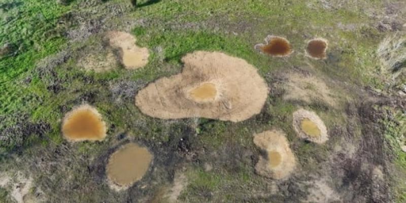 Imagen de una zona natural/Intereconomía Nestlé colabora con otras entidades para mejorar el medio natural