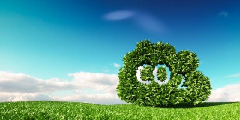 Aprender qué es la neutralidad de carbono Neutralidad de carbono