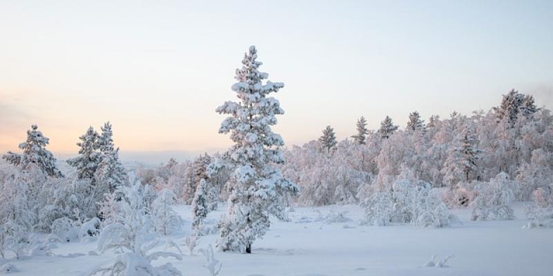 Nieve / Pixabay Nieve