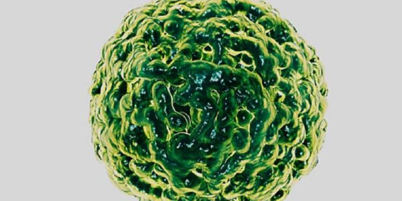 Imagen de un virus/Diario AS Norovirus, el nuevo brote similar al Covid