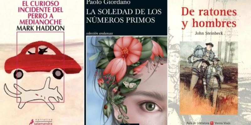 Novelas que hablan sobre la discapacidad