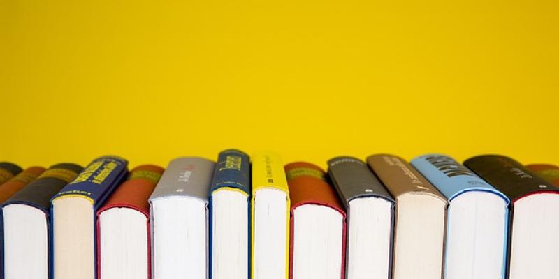 Novelas más leídas / Pixabay Libros