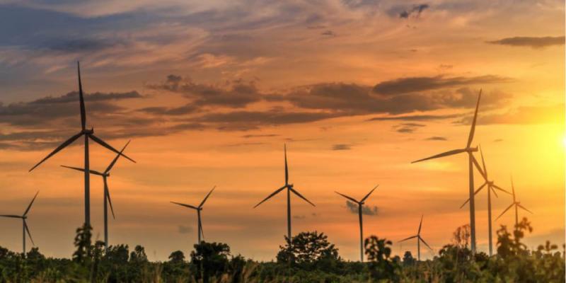 Molinos de viento