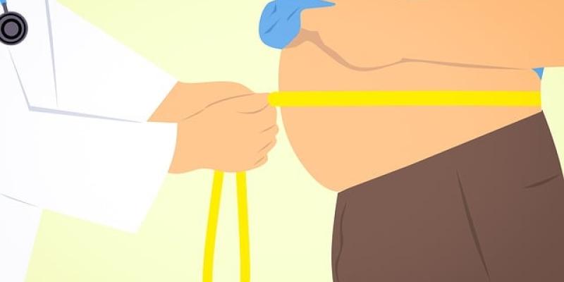 Obesidad / Pixabay Infografía sobre obesidad