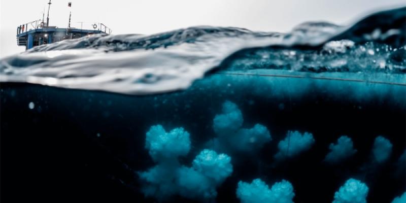 Océanos, sumideros de carbono que se agotan/ Christian Aslund/ National Geographic Los océanos no van a ser capaces de absorber el CO2