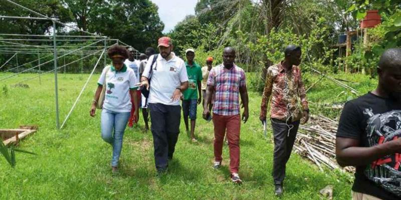 Proyecto de la cooperación andaluza en Guinea Bissau. (Foto: ONGD Bosque y Comunidad)