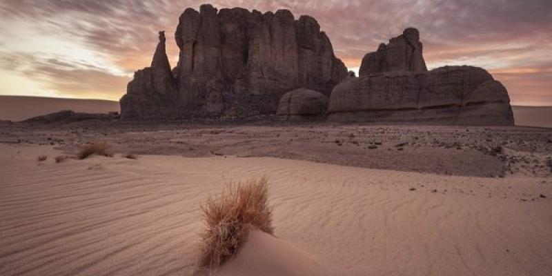 Olas de calor / Pixabay Desierto