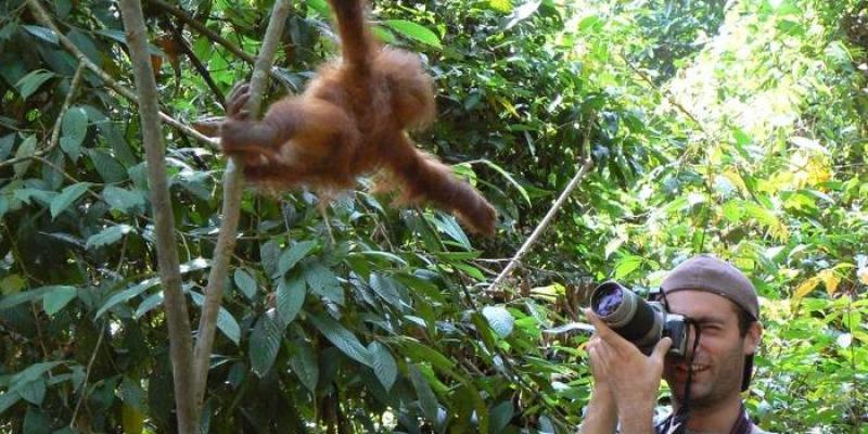 Un turista hace una fotografía a un orangután 