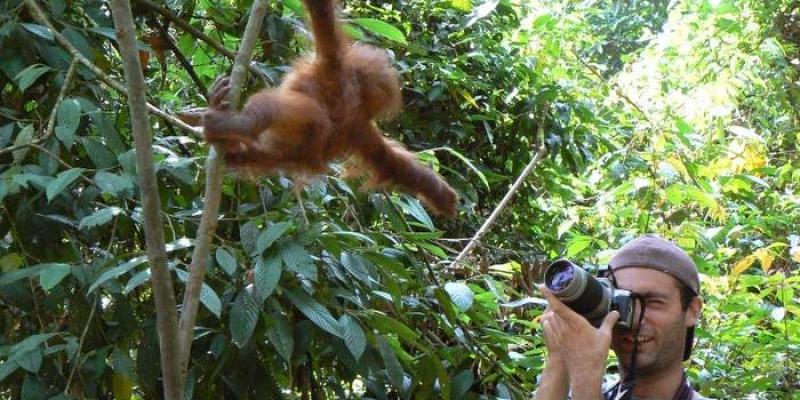 Foto: Andrea Molyneaux para Servimedia Un turista hace una fotografía a un orangután
