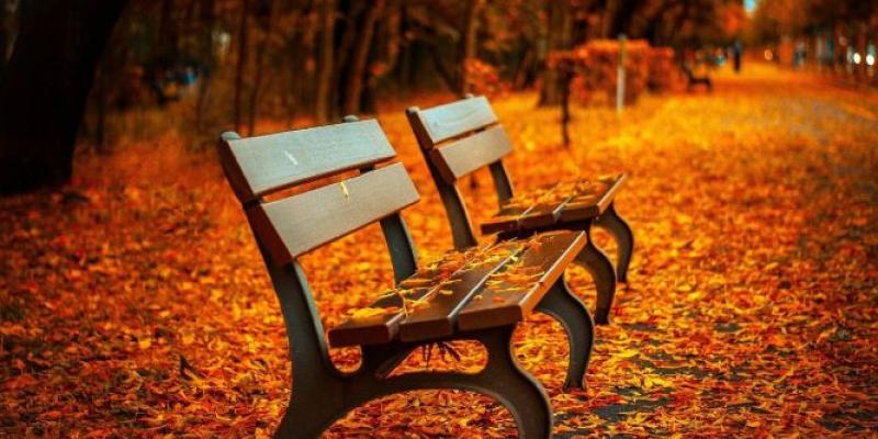 Otoño / El Periódico En un parque, el mobiliario urbano aparece rodeado de hojas secas