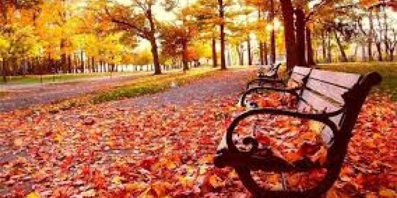 Imagen de un parque con hojas de otoño/TeleSur Descubre le otoño con estos pueblos