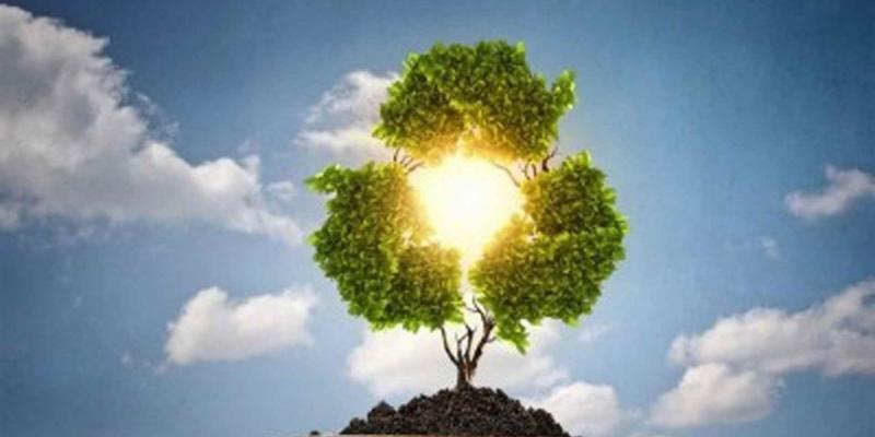 Futuro verde / Infobae Imagen representativa de lo que supone el futuro verde