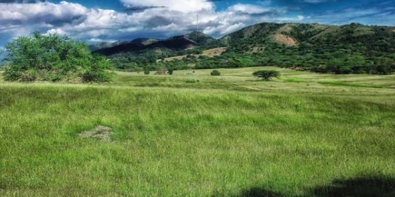 Países ricos y el crecimiento verde / Pixabay Campo verde