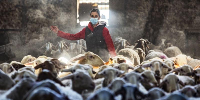 Las mujeres rurales apuestan por una ganadería extensiva para mantener el medio ambiente Mujer ganadera/La Tribuna de Ciudad Real