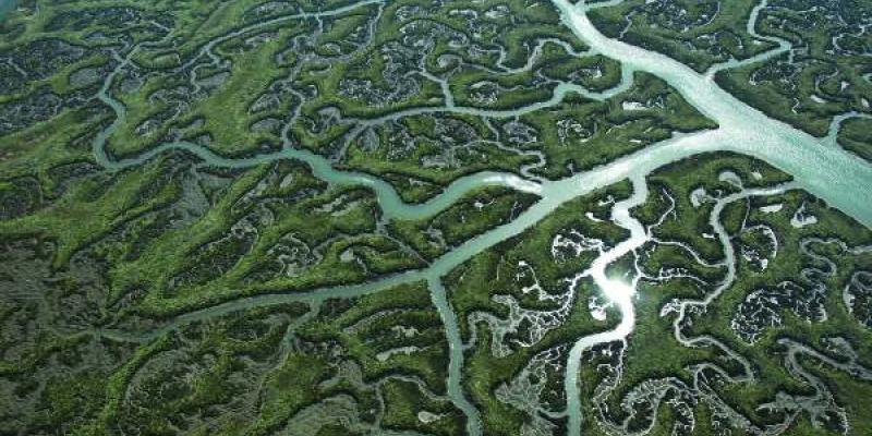 Parque Nacional de Doñana/ Ágora Diario Vista desde el aire de Doñana