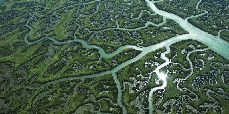 Vista desde el aire de Doñana