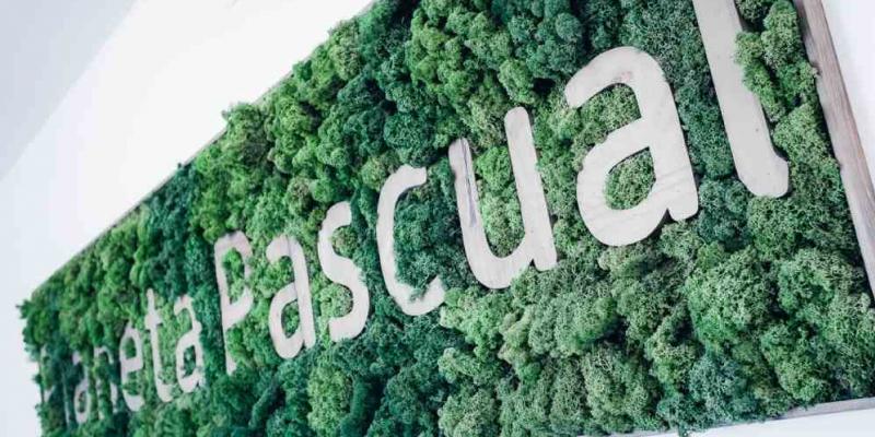 Imagen de Pascual Un conjunto de letras blancas en un fondo blanco