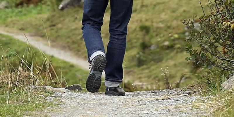 Casi un 40% de las personas con discapacidad intelectual da menos paseos terapéuticos de los que necesita. Las personas con discapacidad intelectual están dando menos paseos de los que necesitan.