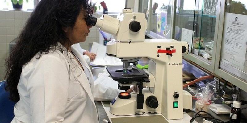 Las patentes farmacéuticas en España - Pixabay Investigación y patentes farmacéuticas