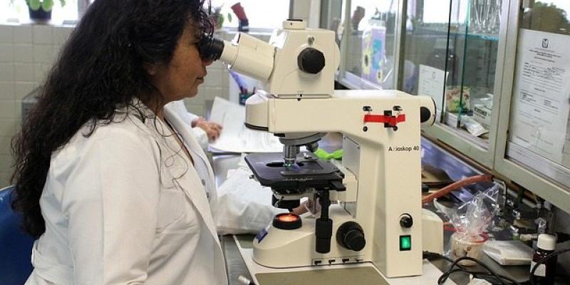 Investigación y patentes farmacéuticas 