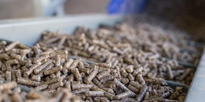 Pellets para calentar durante el invierno Pelñets en una estufa