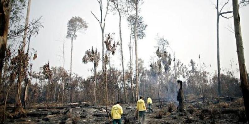 El Amazonas afectado por los incendios