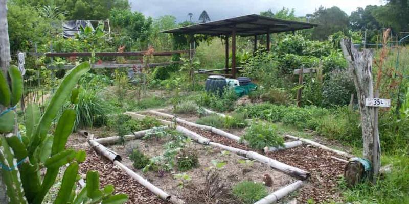 Imagen de un terreno de permacultura/envatoelements Qué es la permacultura