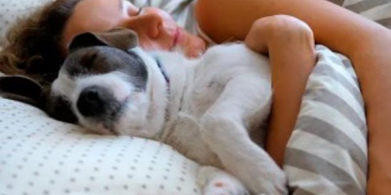 Dormir con perros Perros en la cama