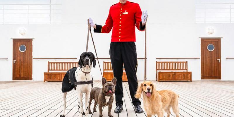 Imagen de un mayordomo con perros/Yatravet Primer crucero para perros