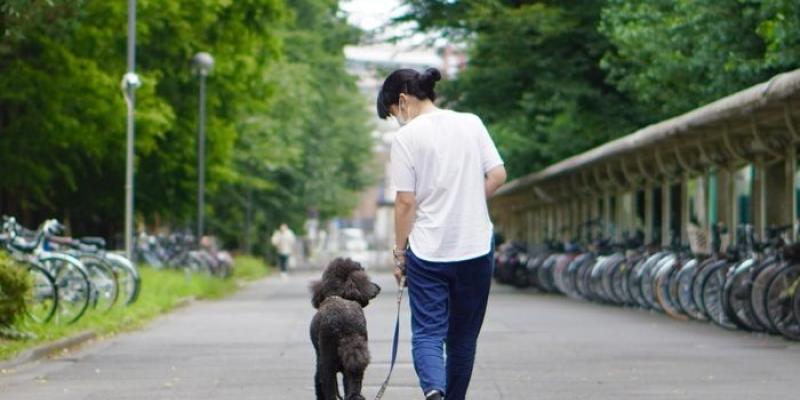 Los perros tienen sentimientos Perros y humanos
