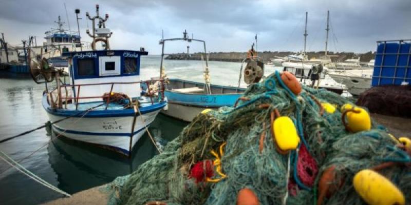 Embarcaciones y aparejos de pesca