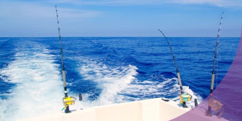 Ejemplo de pesca en altamar Reducción del 81 % en las horas de pesca entre 2022 y 2023