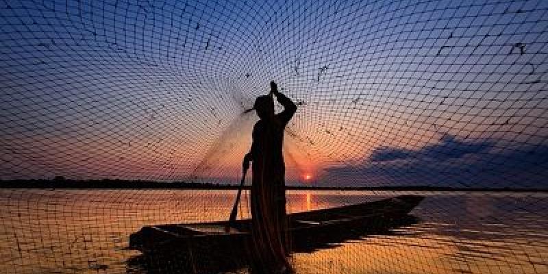 El Gobierno elaborará una nueva legislación pesquera Pesca con red/Pixabay