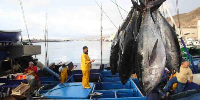 pesca / Industria Pesquera La pesca española recibirá 1200 millones de Europa