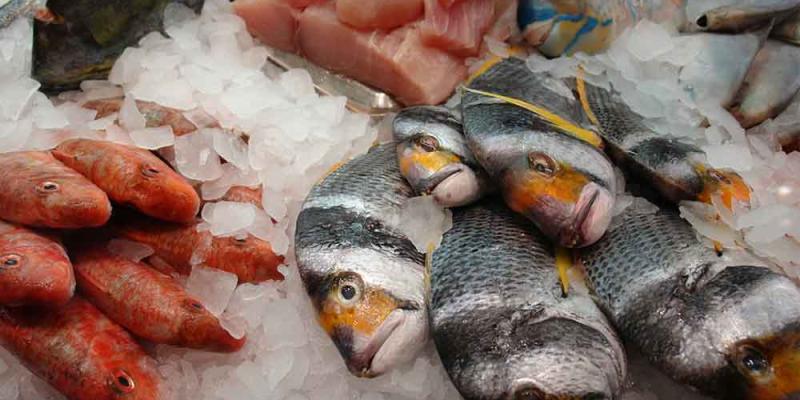 Pescados que debes consumir con precaución