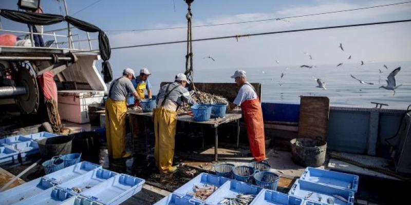 Pescadores recogiendo basura del océano Pescadores retirando basura marina