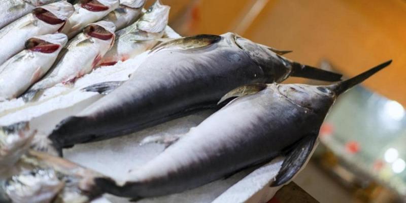 Los cuatro pescados con más mercurio del supermercado